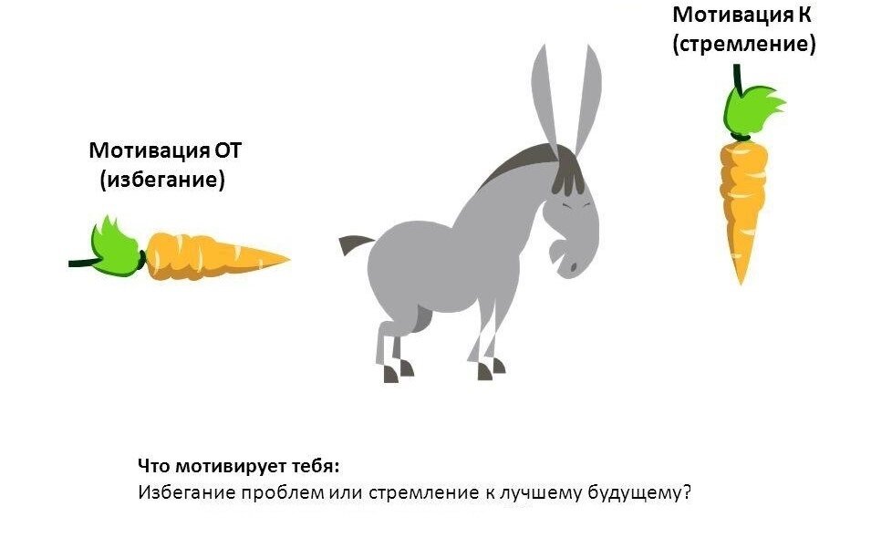 2 типа мотивации: «морковка сзади» и «морковка впереди». 