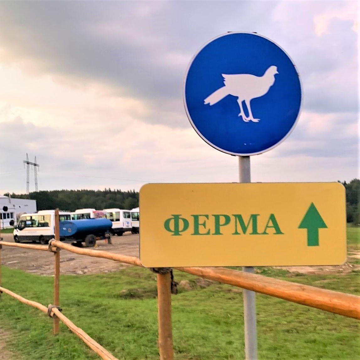 На ярмарку  бесплатно туда и обратно отвозят на маршрутках с двух станций  -Истра и Новый Иерусалим.           Фото автора