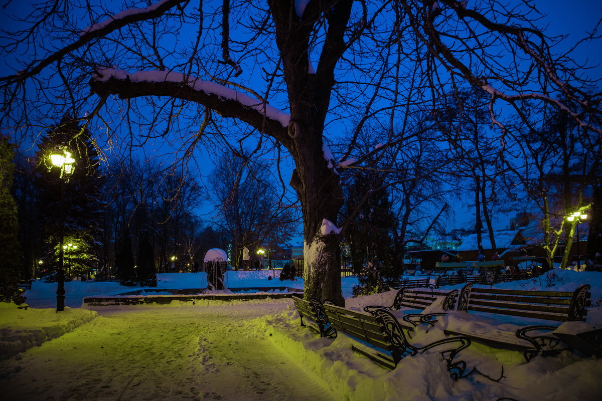 Ночь, зима, Саратов, "Липки". Изображение: fotokto.ru