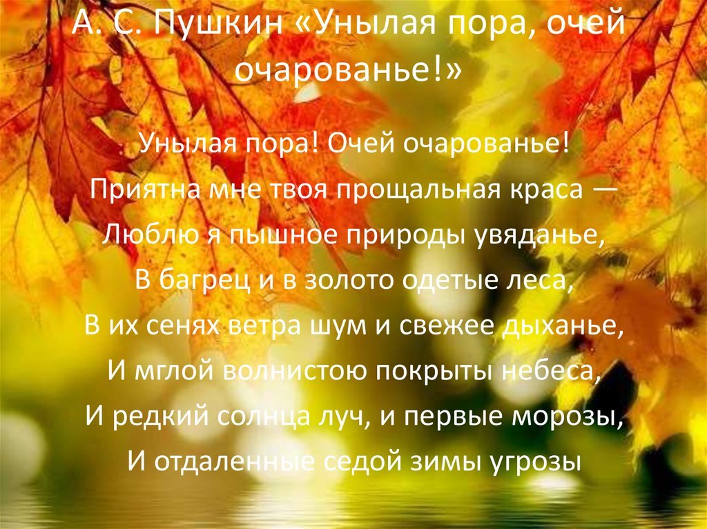 Унылая пора очарования