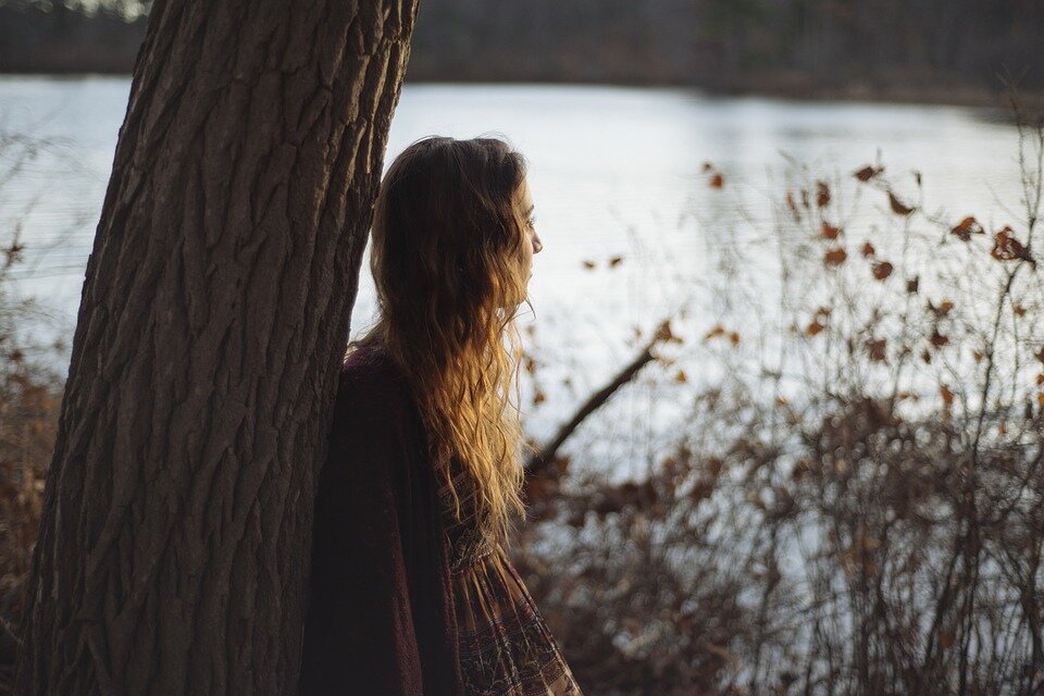 Фото: https://pixabay.com/