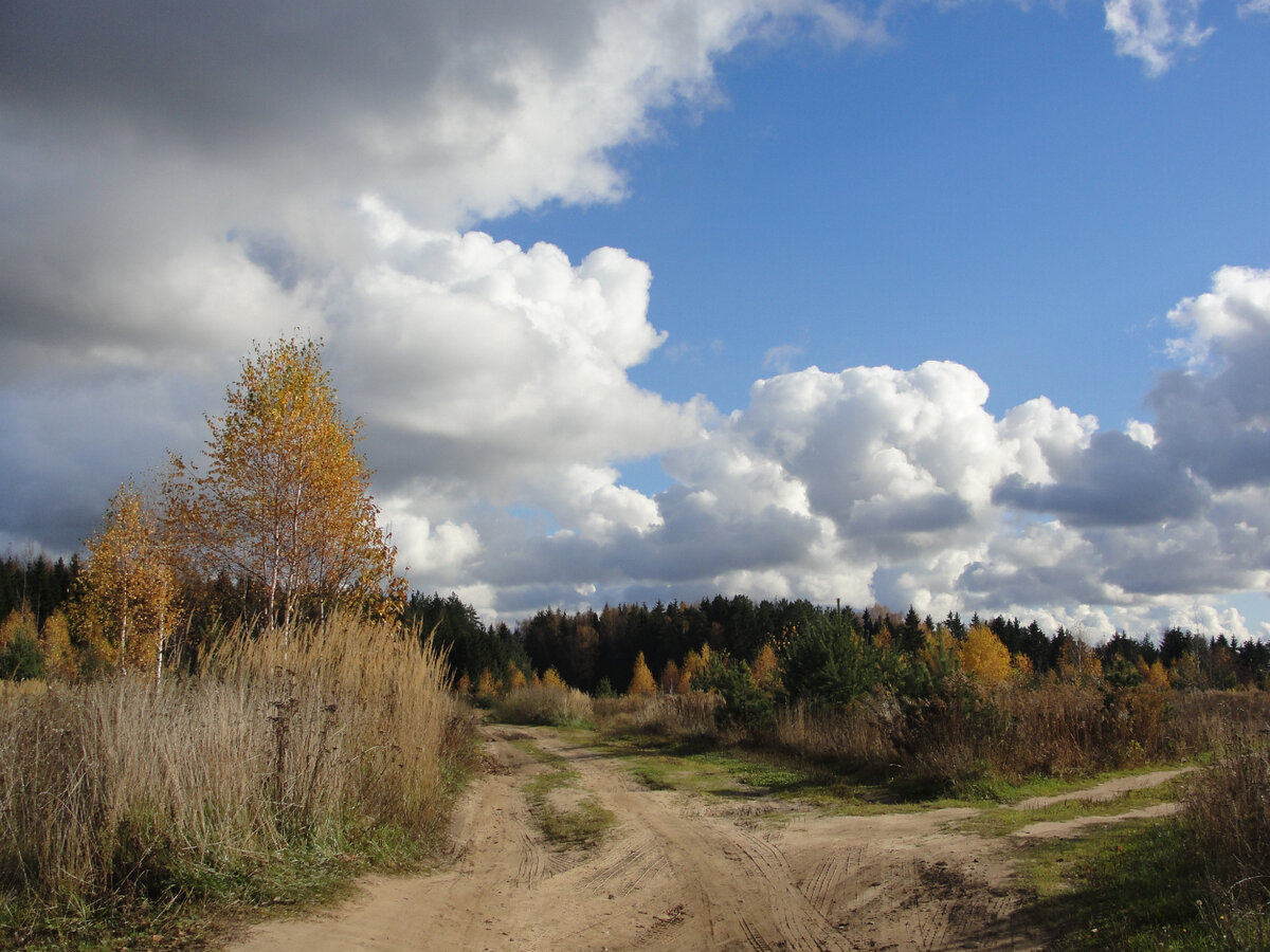 Фото автора.