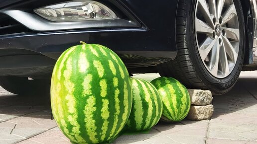 EXPERIMENT: WATERMELON VS CAR