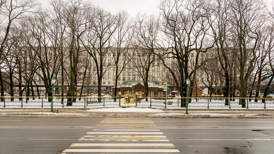 Летом здание скрывается за густой листвой