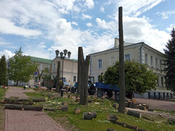 Фото: Константин Смоликов