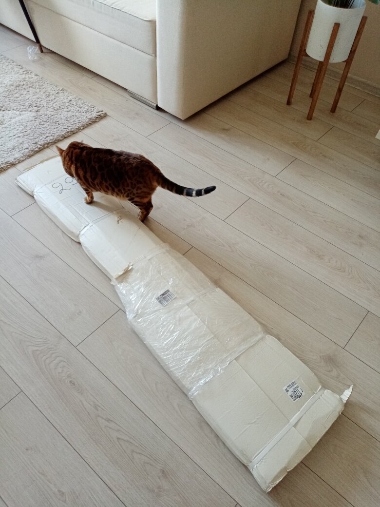 Вот с такой упаковкой запёрлась я в гостиную (я всегда мебель тут собираю, места больше). Фото автора.