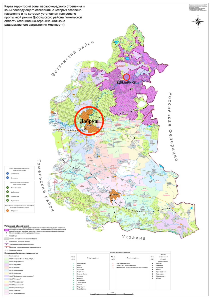 Добрушский район карта с деревнями