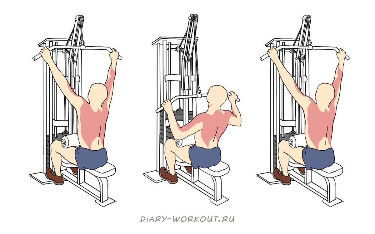 Тяга верхнего блока к груди | Спорт и здоровье 30+ | Дзен