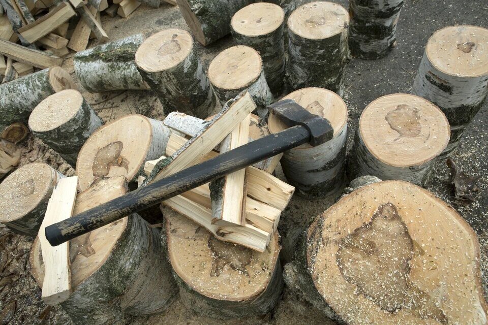     В ряде стран Европы допускают переход на отопление домов дровами на фоне сокращения поставок российского газа  GLOBAL LOOK PRESS