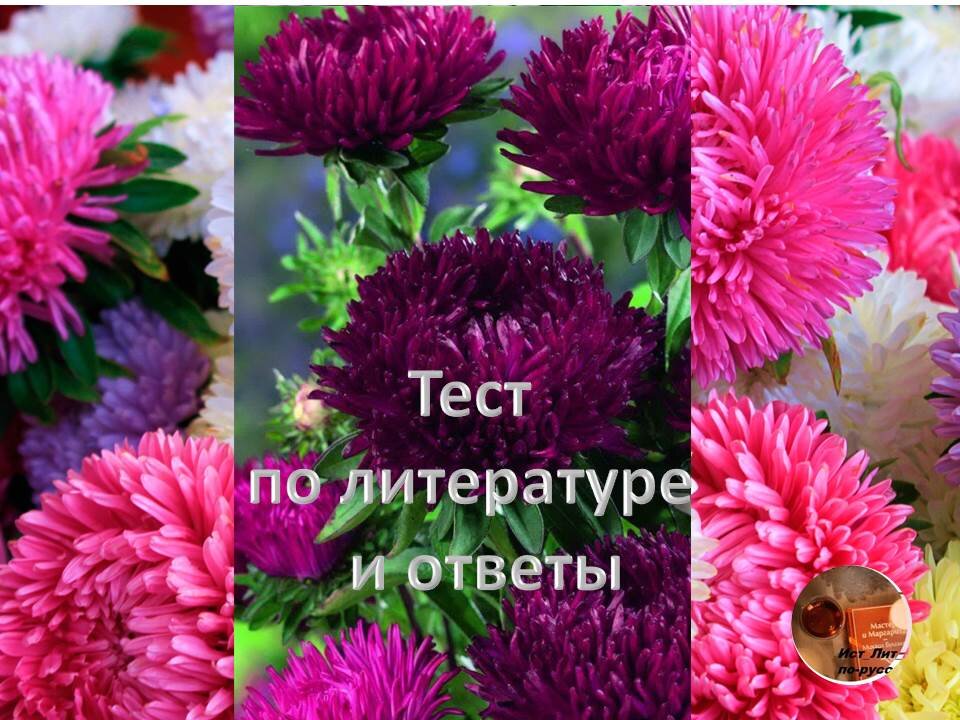 Добрый день!