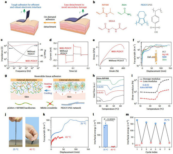     Дизайн полимерной подложки Yuanwen Jiang et al. / Nature Biotechnology, 2022