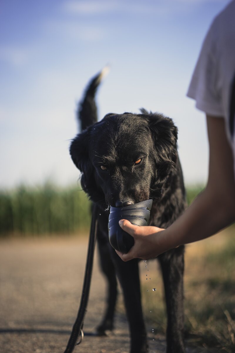   Unsplash