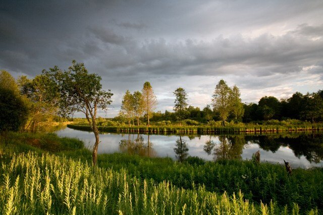 Лето, вечер. Река, ее прибрежье перед грозой. Сочная, чистая вода. Отблески последних солнечных лучей перед полным покрытием неба тучами. Фото: Корчагина Татьяна