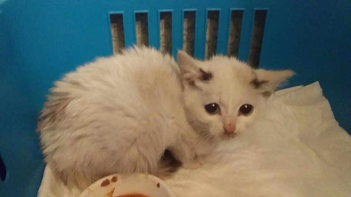 Радмила только приехала