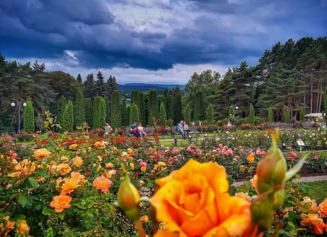 Долина роз кисловодск фото сегодня