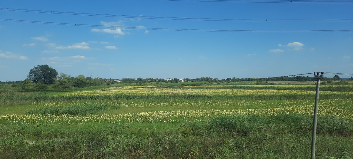 Пейзаж за окном. Фото автора.