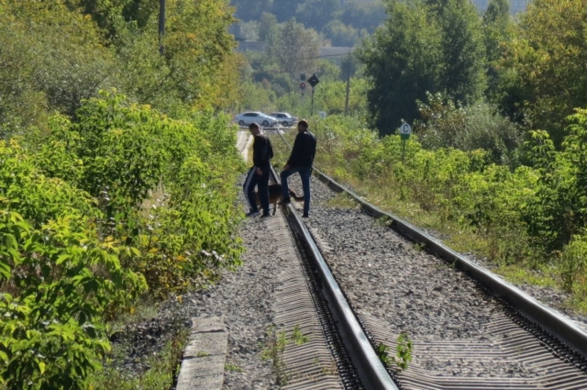    В Кирове грузовой поезд сбил девушку