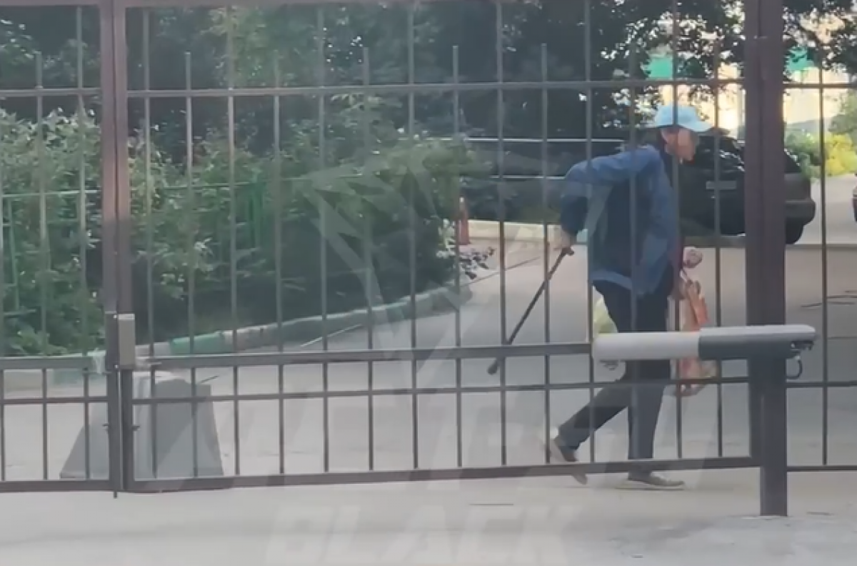    В Новосибирске женщина выгуливала телевизор на проспекте Дзержинского