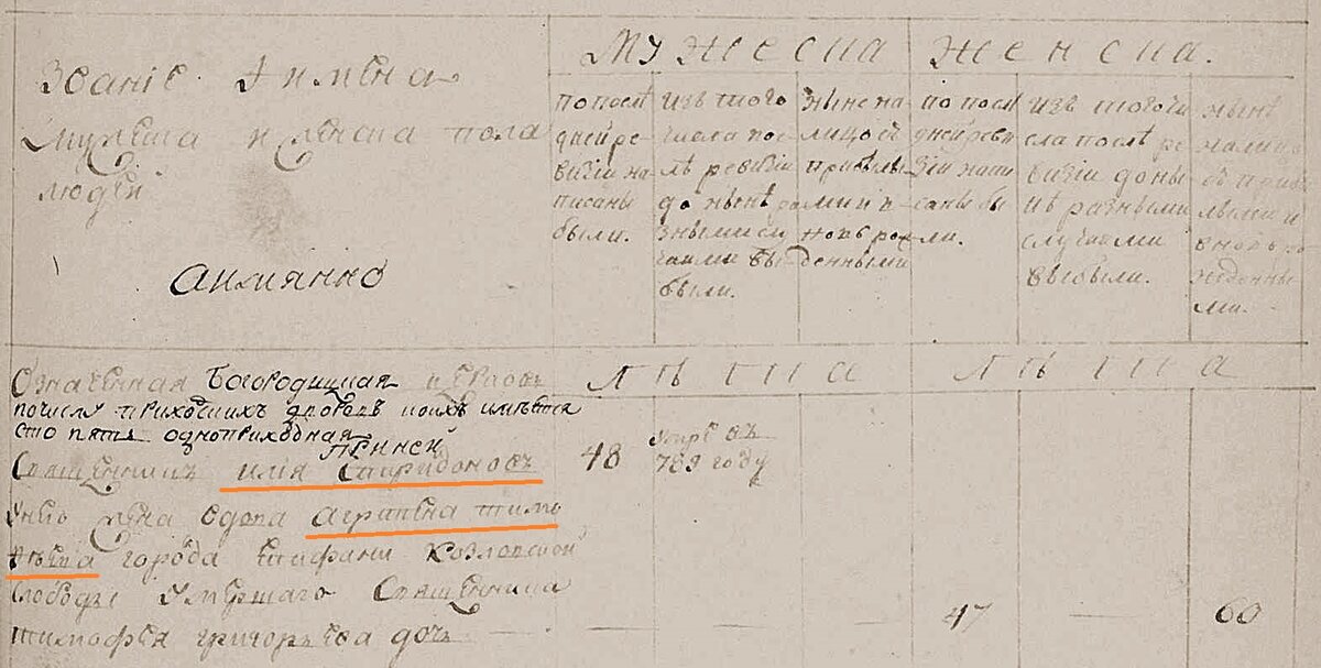 Илья Спиридонович и его вдова в ревизской сказке 1795 года.