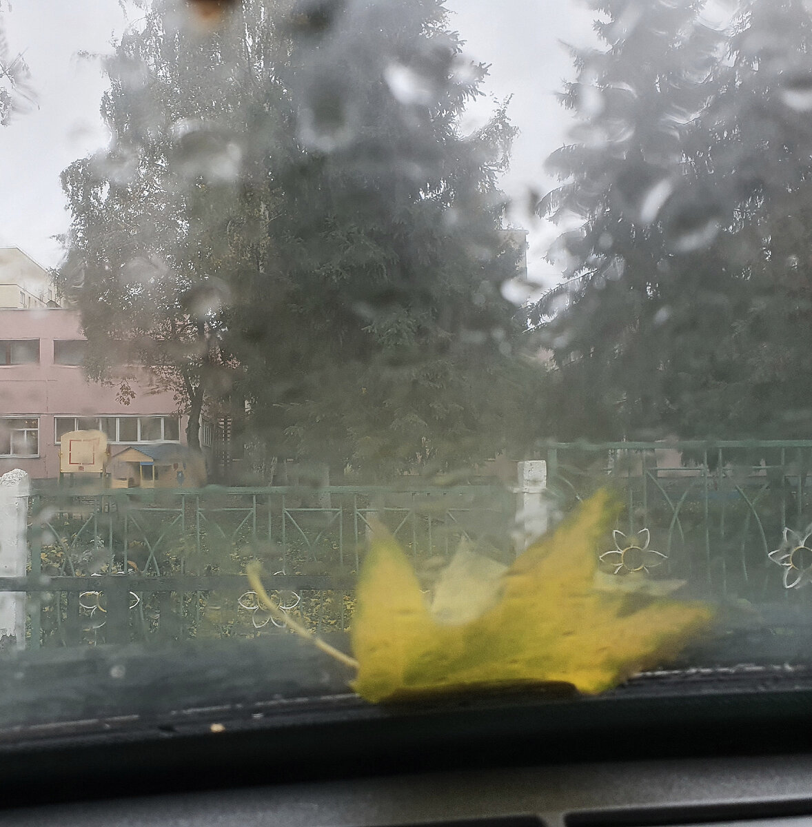 "Мне надо прервать беременность!" | Блог акушера | Дзен