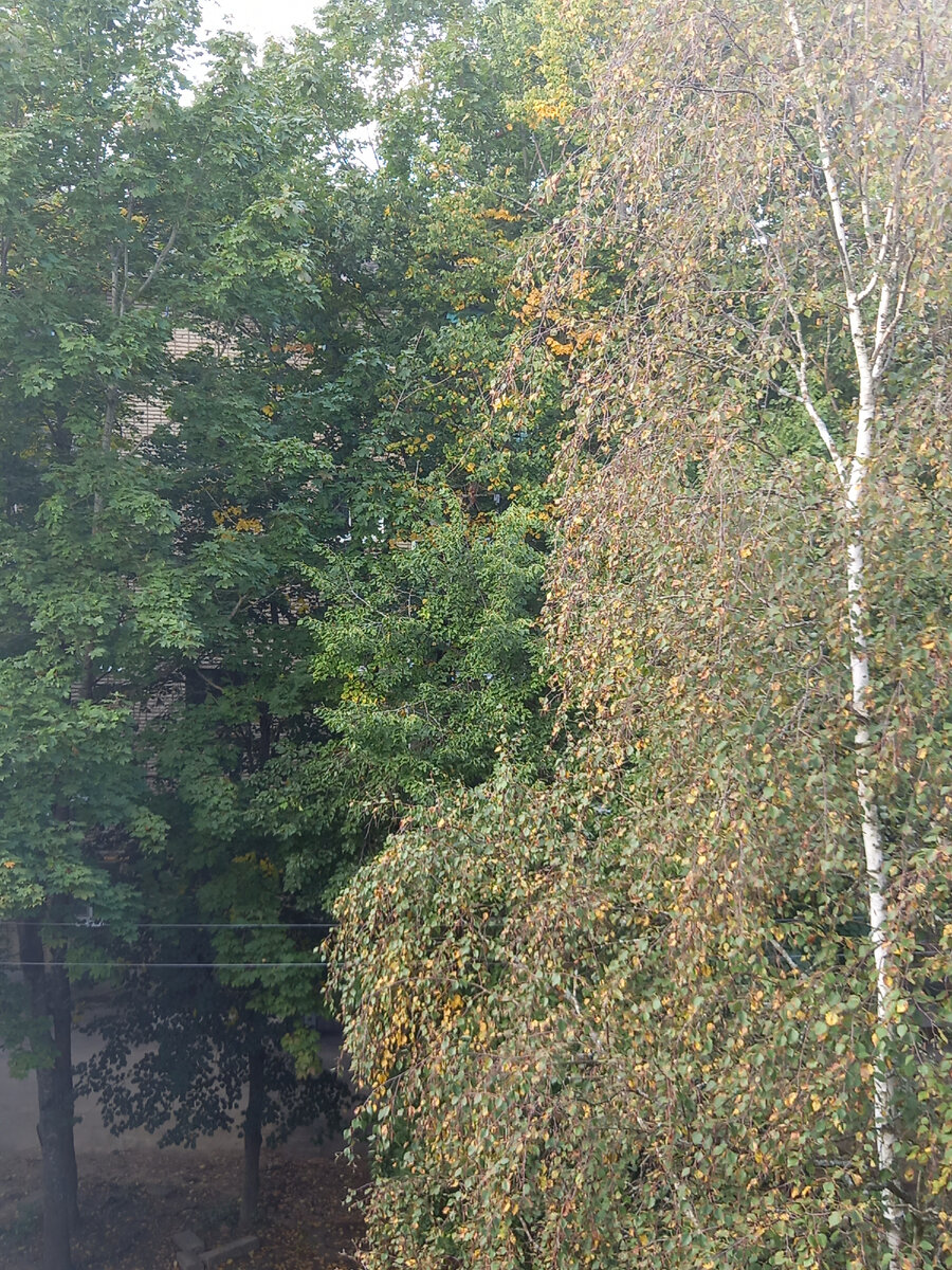 Фото автора канала