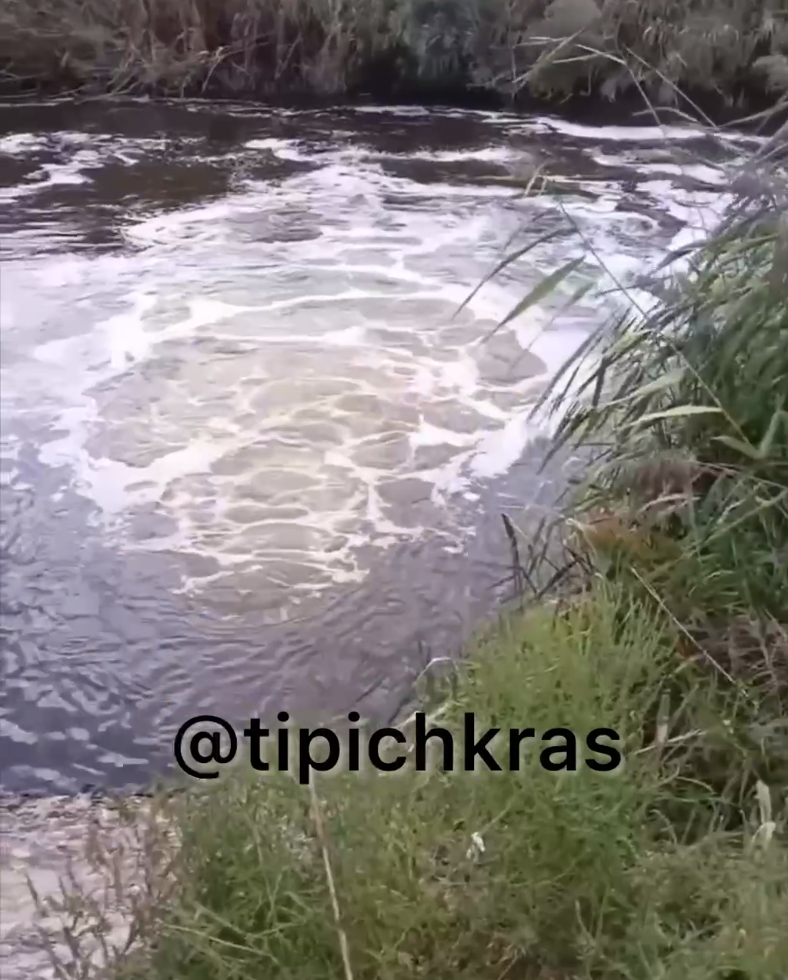 Фото: https://t.me/tipichkras