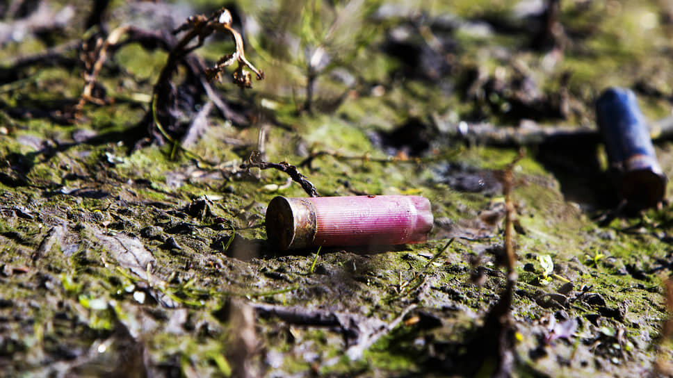    Фото: Александр Подгорчук / Коммерсантъ