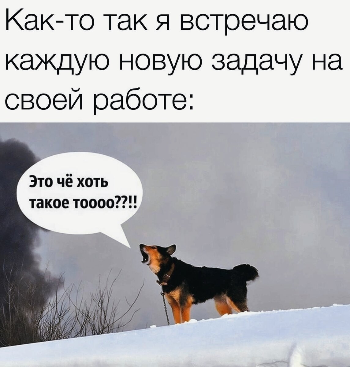 Фото из интернета в обработке автора. 