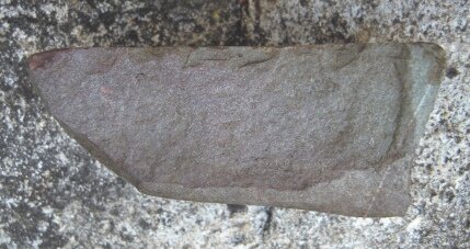 5. 2023 г. Вид сверху