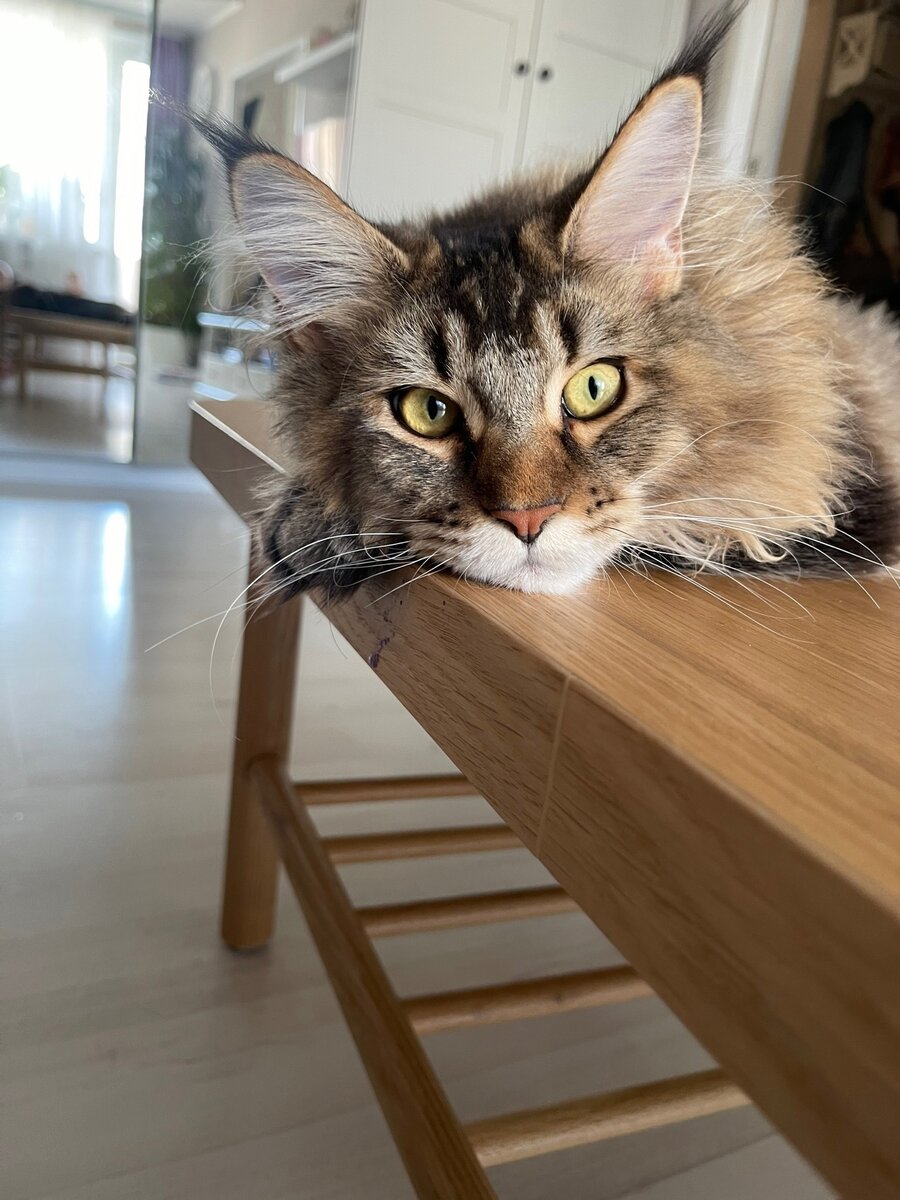 Фото из личного архива.