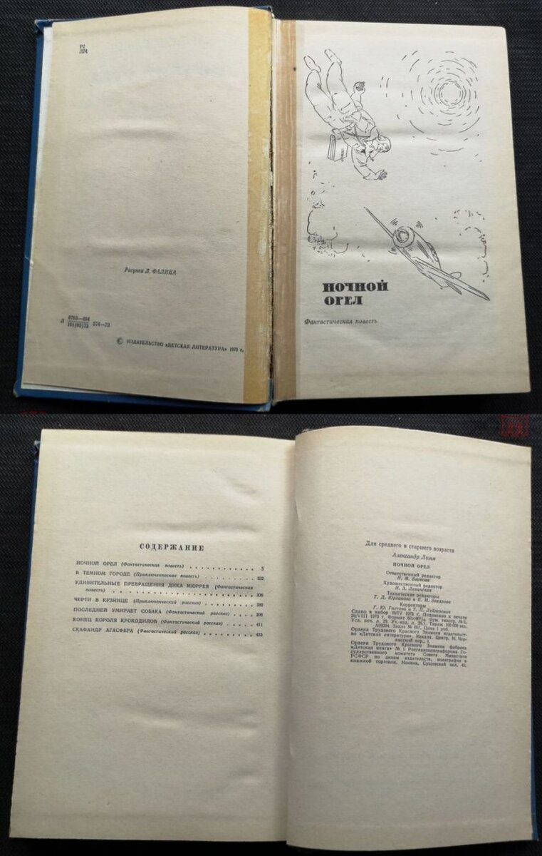 Военно-фантастическая повесть А. Ломма «Ночной орел», 1965 г. ~  приключенческий бестселлер про летающего советского партизана | Популярная  Библиотека | Дзен