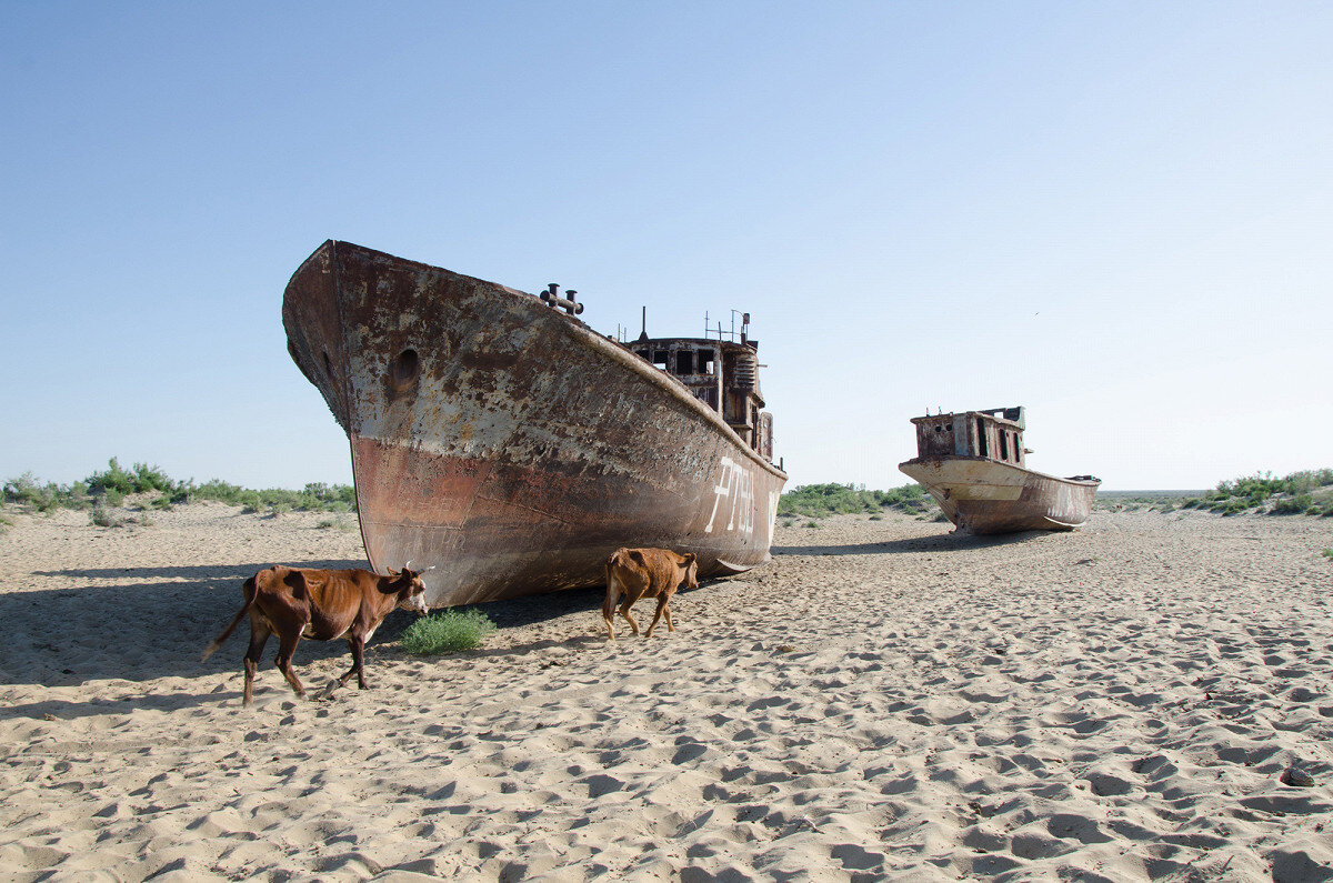 море в узбекистане