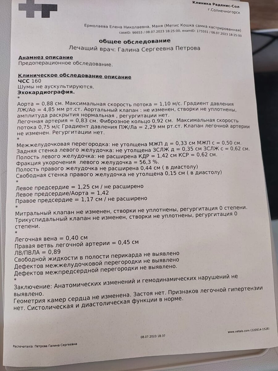 В субботу ездили с Манящей на эхо. Сердце здоровое. | Благотворительный  фонд Луч добра | Дзен