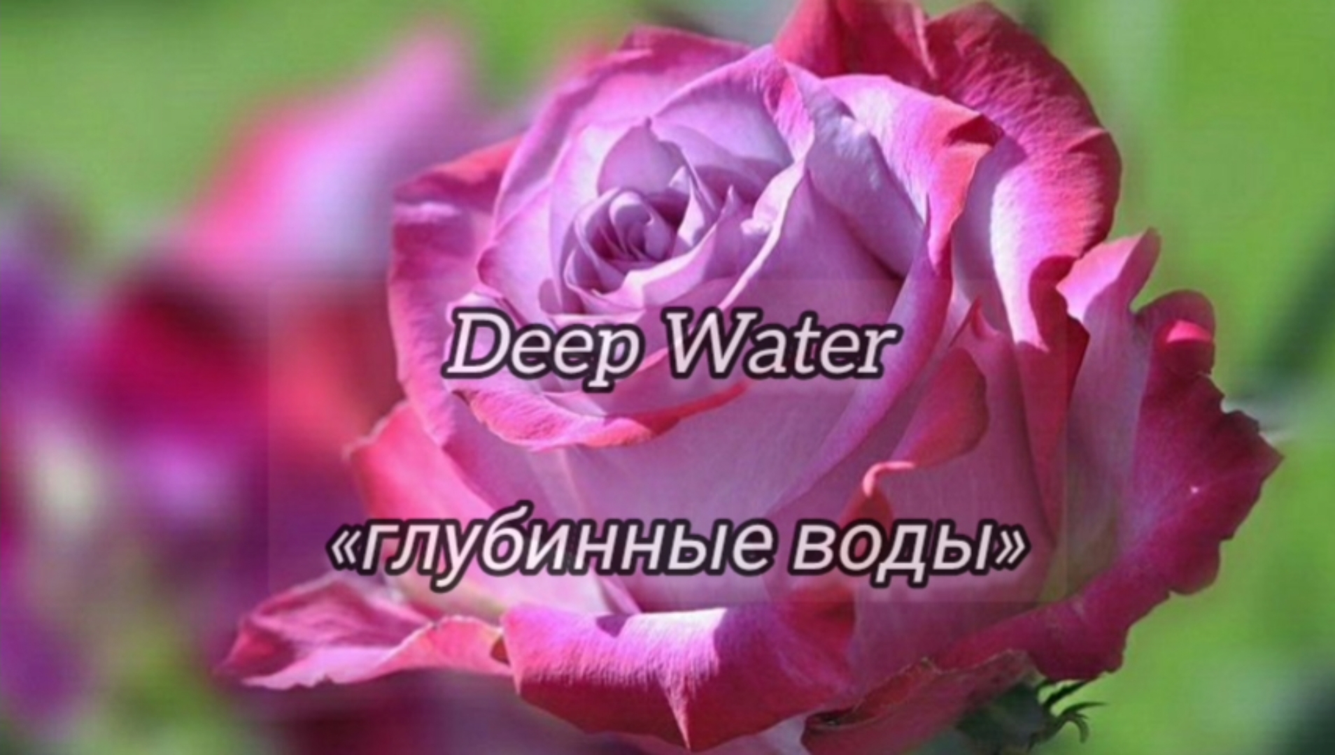 Скачать цветы для наташи