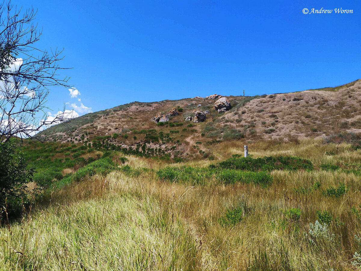 Холм, за которым и расположено городище