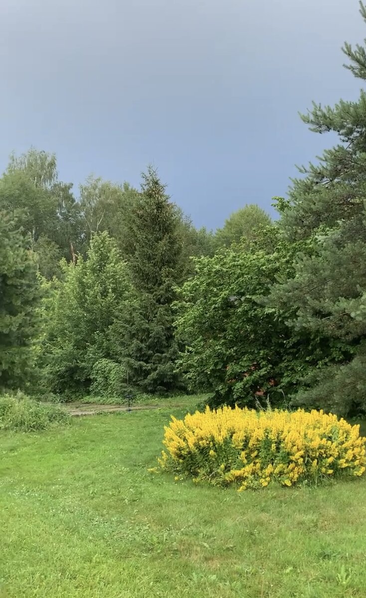 Уголок природы на моем участке