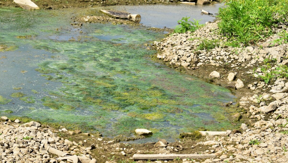     За месяц уровень воды в Иртыше упал на 248 сантиметров, в Туре — на полметра.