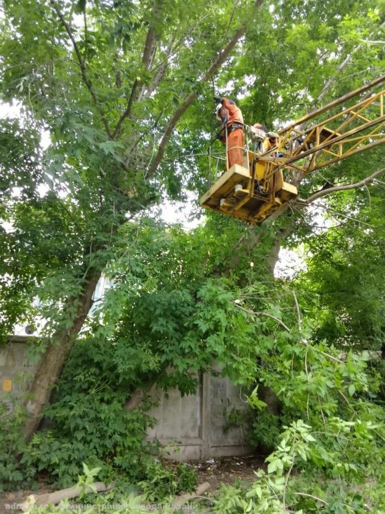    Фото: сайт администрации