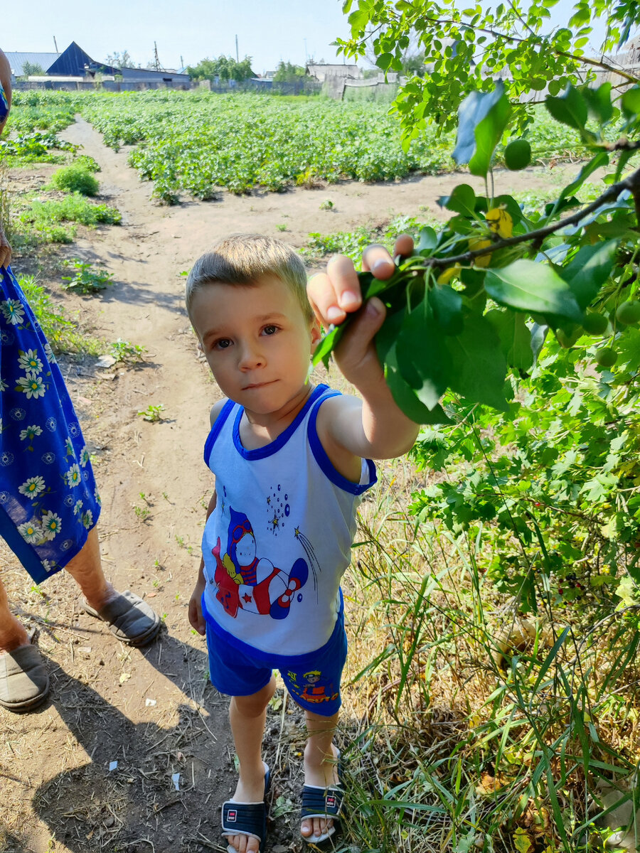 Лев у прабабушки 