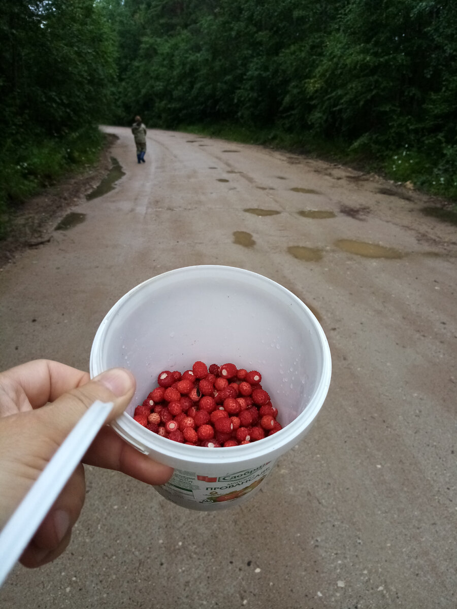 ДНЕВНИЧОК СЕВЕРНОЙ ПРИРОДЫ Он лежал весь в гипсе: правая рука подвешена,  левая нога тоже (Часть 19) | Принцесса Андромеды | Дзен