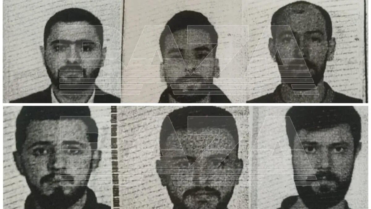 Пропавшие сирийцы. Фото: Baza | Telegram