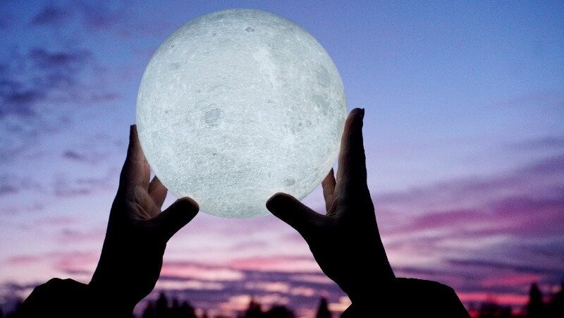 Фото: @aija4995 / freepik.com