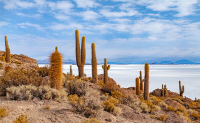 Свободное фото с unsplash.com