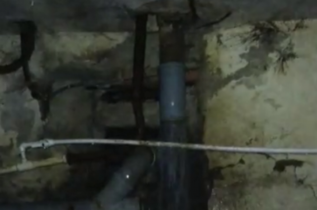    Блохи и вонь канализации из подвала беспокоят жильцов дома в Карачаевске