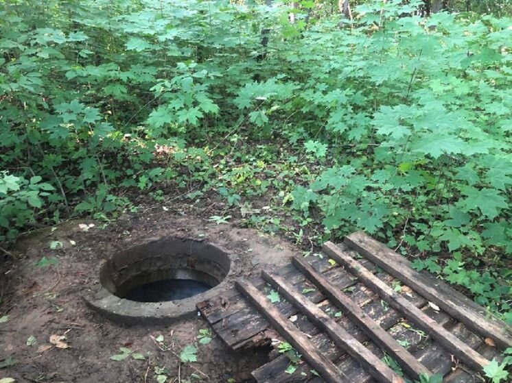    Колодец, в котором нашли тело мальчика. Фото: прокуратура Москвы.