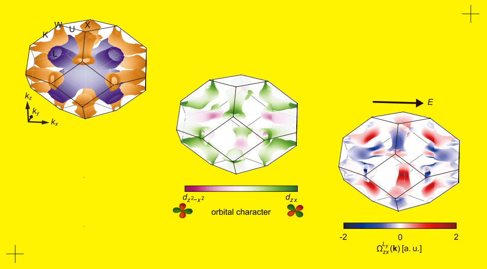   Young-Gwan Choi et al. / Nature, 2023; N + 1