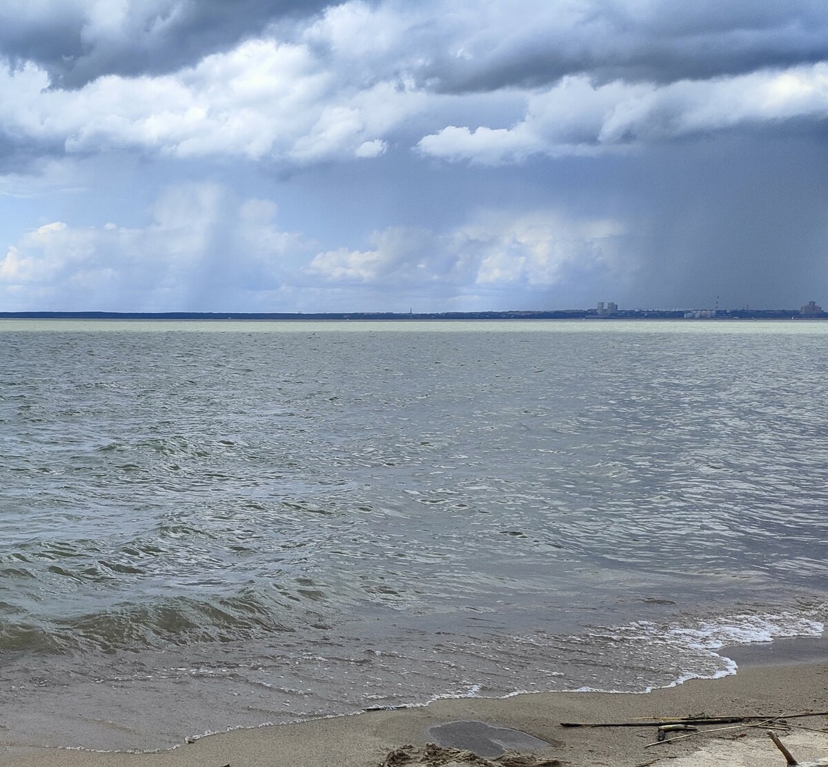 Вид на водохранилище с пляжа Бердской косы