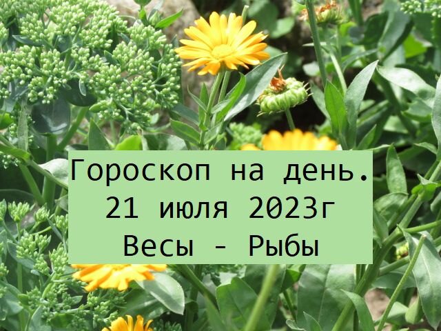 гороскоп 21 июля