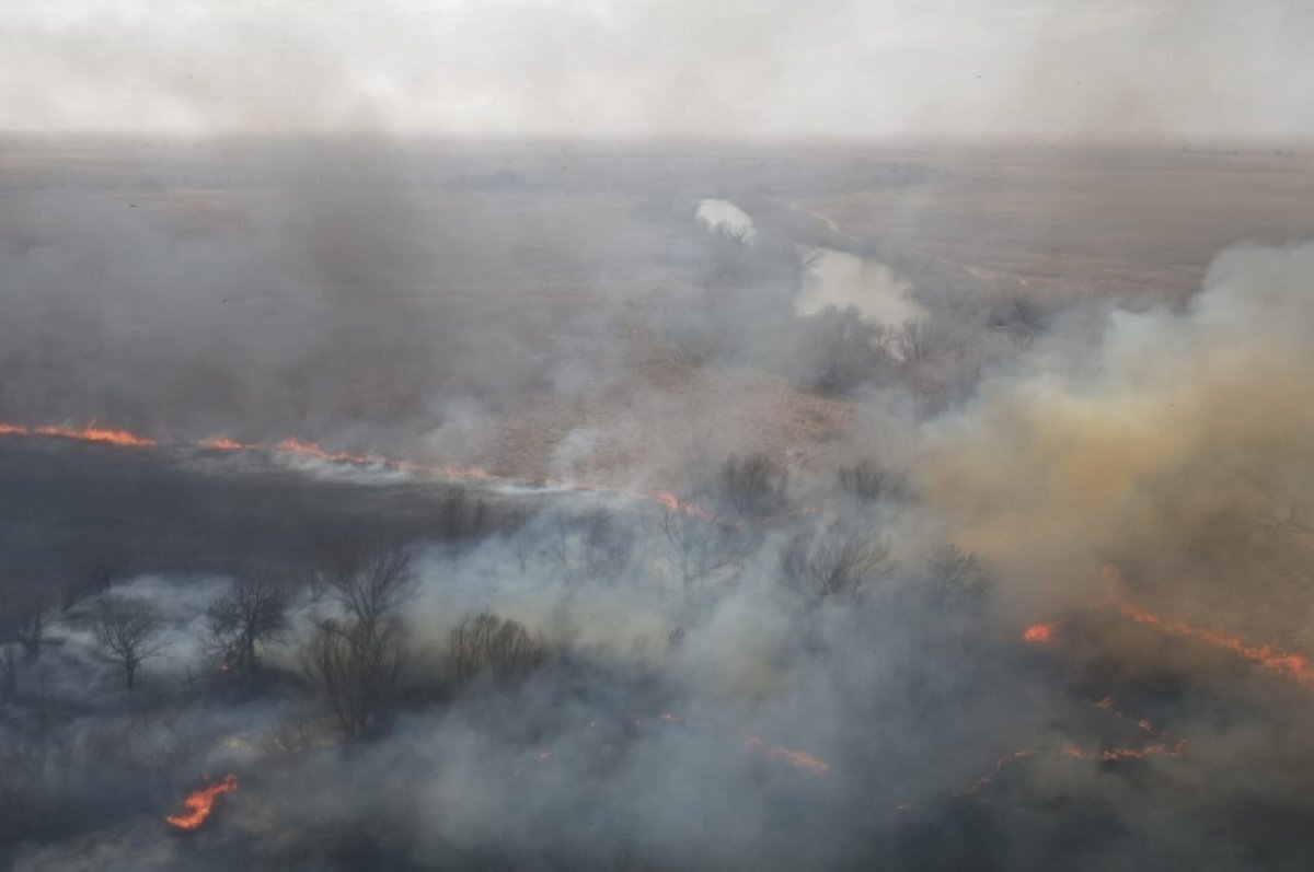    С 24 июля в Астраханской области нельзя будет жарить шашлыки на природе