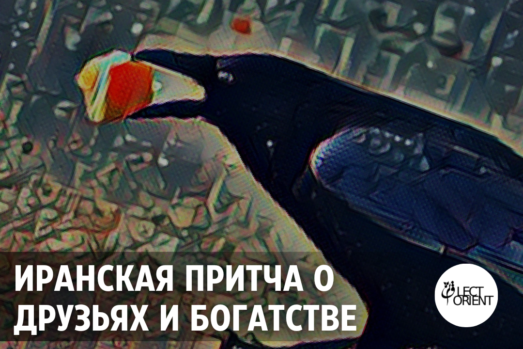 Фото взято из открытого фотостока Canva